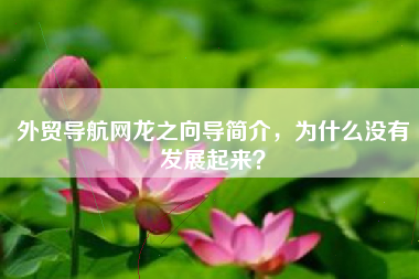 外贸导航网龙之向导简介，为什么没有发展起来？