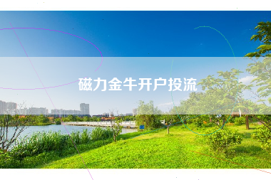 磁力金牛开户投流