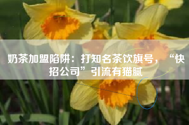 奶茶加盟陷阱：打知名茶饮旗号，“快招公司”引流有猫腻