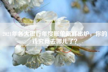 2021年各大银行年度账单新鲜出炉，你的钱究竟去哪儿了？