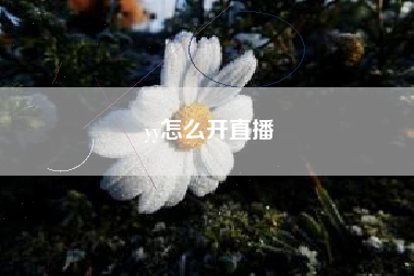 yy怎么开直播