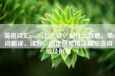 英语词汇record怎么读,是什么意思,单词翻译、读音、固定搭配用法和短语词组及例句 英语词汇record怎么读,是什么意思,单词翻译、读音、固定搭配用法和短语词组及例句