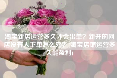 淘宝新店运营多久才会出单？新开的网店没有人下单怎么办？(淘宝店铺运营多久能盈利)
