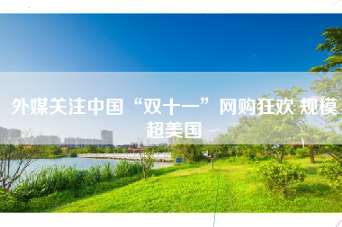 外媒关注中国“双十一”网购狂欢 规模超美国