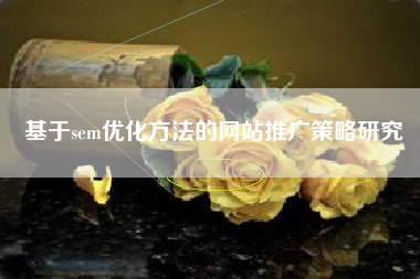 基于sem优化方法的网站推广策略研究