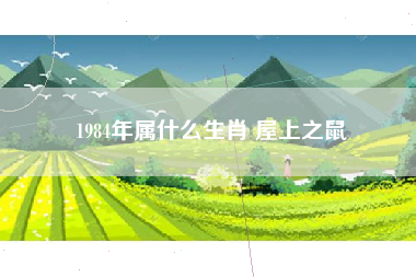 1984年属什么生肖 屋上之鼠