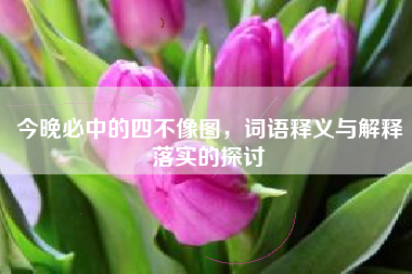 今晚必中的四不像图，词语释义与解释落实的探讨