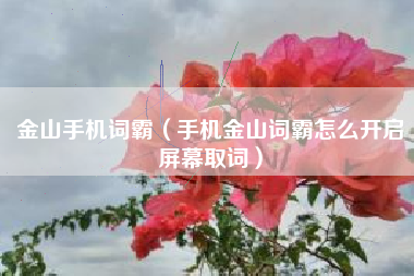 金山手机词霸（手机金山词霸怎么开启屏幕取词）
