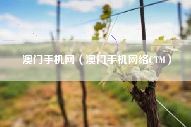 澳门手机网（澳门手机网络CTM）