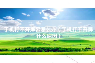 手机打不开屏幕怎么办（手机打不开屏什么原因）