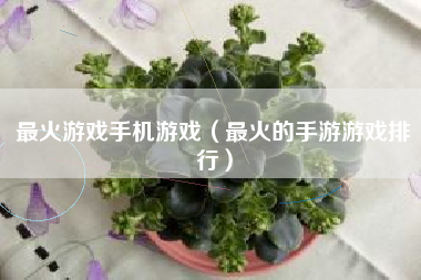最火游戏手机游戏（最火的手游游戏排行）