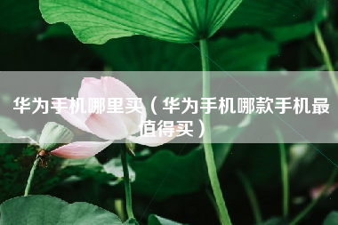 华为手机哪里买（华为手机哪款手机最值得买）