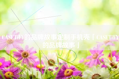 CASETiFY的品牌故事定制手机壳「CASETiFY的品牌故事」
