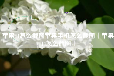 苹果14怎么截图苹果手机怎么截图「苹果14怎么截图」