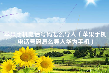 苹果手机电话号码怎么导入（苹果手机电话号码怎么导入华为手机）