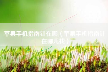 苹果手机指南针在哪（苹果手机指南针在哪儿找）