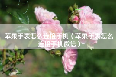 苹果手表怎么连接手机（苹果手表怎么连接手机微信）