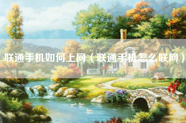 联通手机如何上网（联通手机怎么联网）