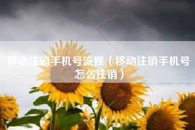 移动注销手机号流程（移动注销手机号怎么注销）