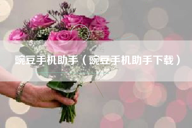 豌豆手机助手（豌豆手机助手下载）
