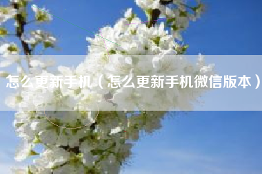 怎么更新手机（怎么更新手机微信版本）