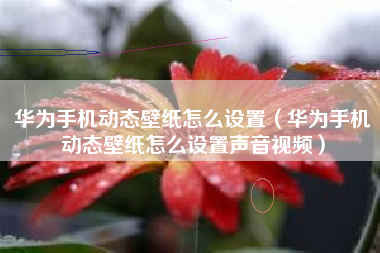 华为手机动态壁纸怎么设置（华为手机动态壁纸怎么设置声音视频）