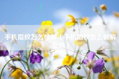 手机指纹怎么破解（手机指纹怎么破解密码）