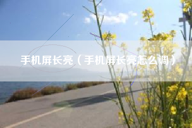 手机屏长亮（手机屏长亮怎么调）