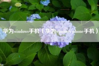 华为windows手机（华为windows phone手机）