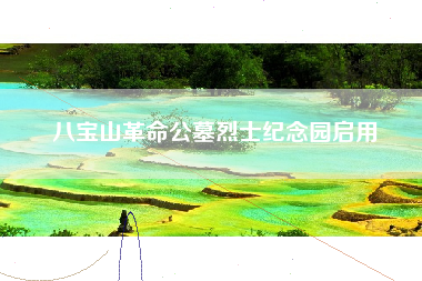 八宝山革命公墓烈士纪念园启用