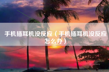手机插耳机没反应（手机插耳机没反应怎么办）