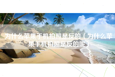 为什么苹果手机拍照是反的（为什么苹果手机拍照是反的呢）