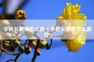 手机长截屏怎么截（手机长截屏怎么截取）