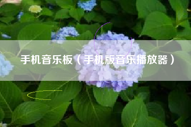 手机音乐板（手机版音乐播放器）