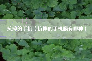 抗摔的手机（抗摔的手机膜有哪种）