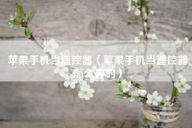 苹果手机当遥控器（苹果手机当遥控器怎么弄的）