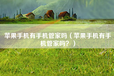 苹果手机有手机管家吗（苹果手机有手机管家吗？）