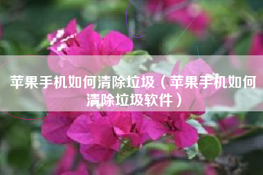 苹果手机如何清除垃圾（苹果手机如何清除垃圾软件）
