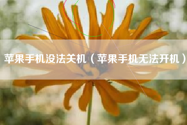 苹果手机没法关机（苹果手机无法开机）