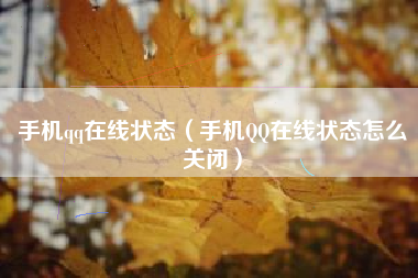 手机qq在线状态（手机QQ在线状态怎么关闭）
