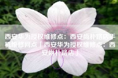 西安华为授权维修点：西安尚朴路店手机维修网点「西安华为授权维修点：西安尚朴路店」