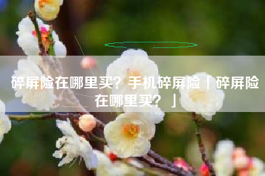 碎屏险在哪里买？手机碎屏险「碎屏险在哪里买？」