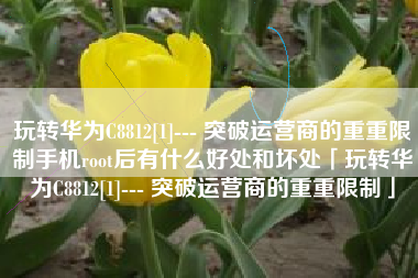 玩转华为C8812[1]--- 突破运营商的重重限制手机root后有什么好处和坏处「玩转华为C8812[1]--- 突破运营商的重重限制」