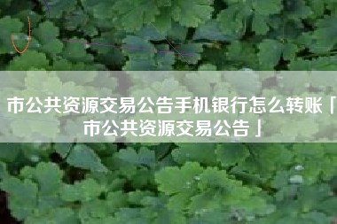 市公共资源交易公告手机银行怎么转账「市公共资源交易公告」