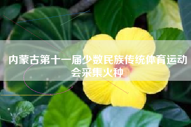 内蒙古第十一届少数民族传统体育运动会采集火种