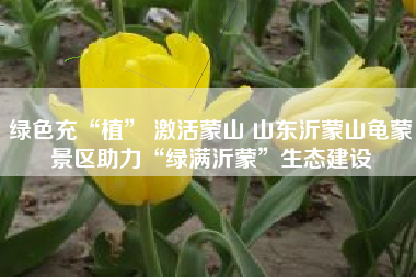 绿色充“植” 激活蒙山 山东沂蒙山龟蒙景区助力“绿满沂蒙”生态建设