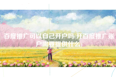 百度推广可以自己开户吗(开百度推广账户需要提供什么)